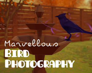 play Marvellous Bird Photography