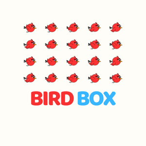 play Bird Box