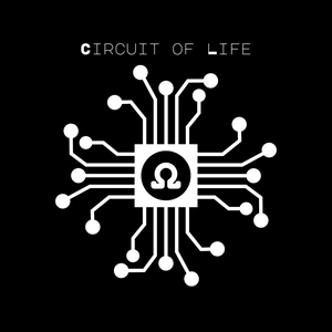 play The Circuit Of Life
