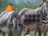 play Zebra Forest Escape