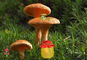 Mushroom Plant Land Escape game