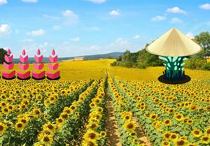 play Golden Flower Land Escape