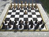 play Chess In The Park