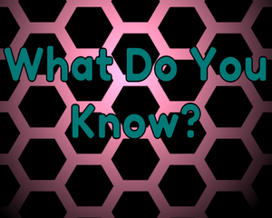 play What Do You Know? ( Ludum Dare Jam)