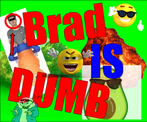 play Brad Is Dumb