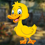Funny Duck Escape game