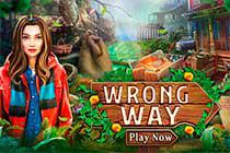 Wrong Way game
