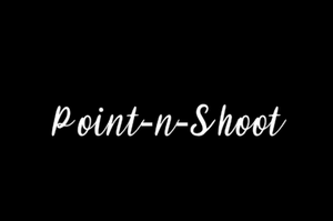 play Point-N-Shoot