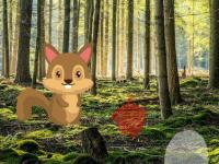 play Stream Forest Escape