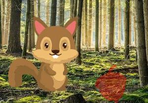play Stream Forest Escape