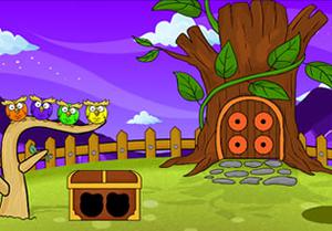 play Pygmy Owl Escape