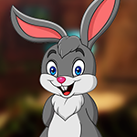 play Successful Rabbit Escape