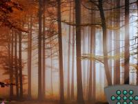 play Find My Magic Cauldron