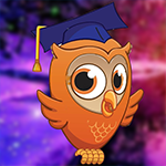 play Brave Owl Escape