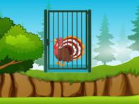 play G2M Rescue The Turkey