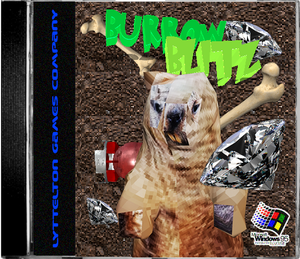 play Burrow Blitz