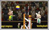 play Volleyball World Cup2022