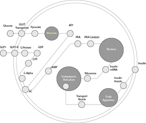 World In A Cell - Prototypes