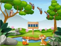 play G2M Toucan Escape 1 Html5