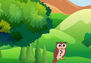 play Toucan Escape 1