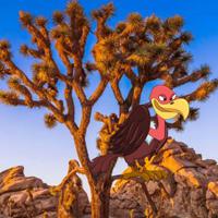 play Desert Joshua Tree Escape Html5