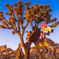 play G2R-Desert Joshua Tree Escape Html5