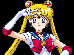 play Sailor Moon Fan Video Game