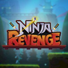 play Ninja Revenge