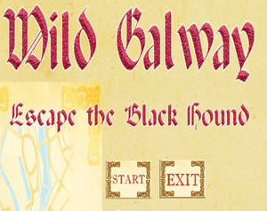 play Wild Galway Escape The Black Hound