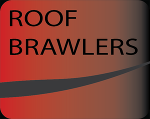 play Roof Brawlers 3D