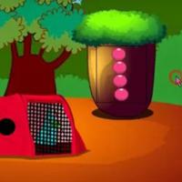 play -G2L-Feathered-Friend-Escape