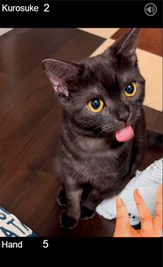 play Kurosuke Tongue