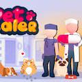 play Pet Healer - Vet Hospital