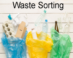 play Waste Sorting