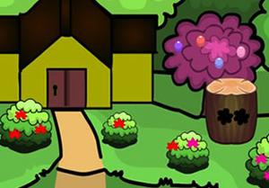play Cat Escape 1
