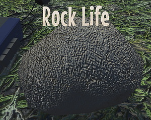 play Rock Life