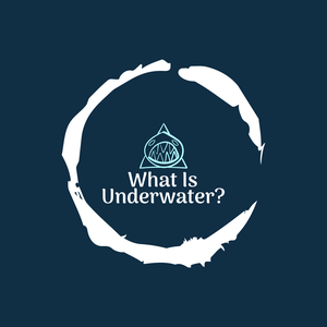 play What Is Underwater