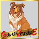 G2E Hungry Brown Dog Rescue Html5