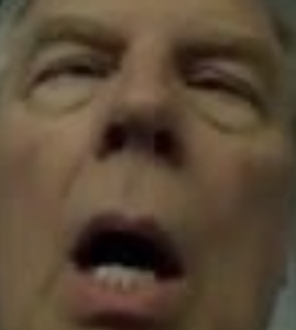 play Flappin Chuck