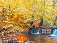 play Autumn Waterfall Escape
