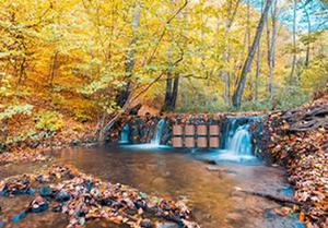 play Autumn Waterfall Escape