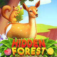 play Hidden Forest