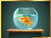 play Crazy Goldfish Escape