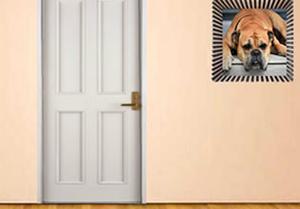 play Rescue Pug Dog