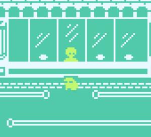 play A Frog Goes Into A Bank To Get A Loan...