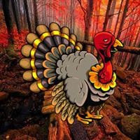play Escape Turkey From Deep Pit Html5