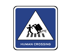 play Human Crossing