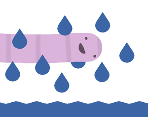 play Rainyworms