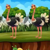 G2M-Find-The-Ostrich game