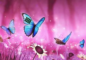 play Butterfly Fantasy Land Escape